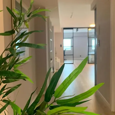 Espectacular Loft Lleno De Luz Y Espacio! Apartamento *